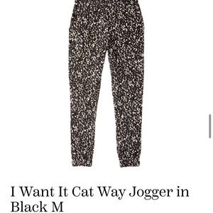 NWT BB Dakota high waisted joggers!
